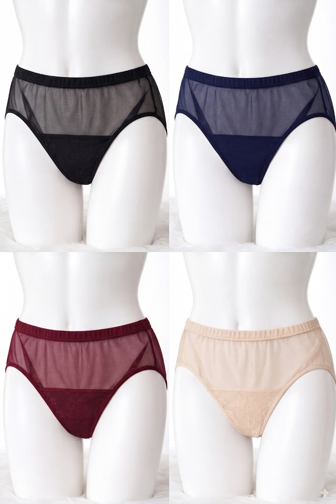 Transparent Net Panty