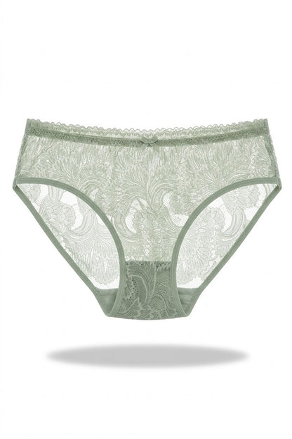 See Through Lace Panty