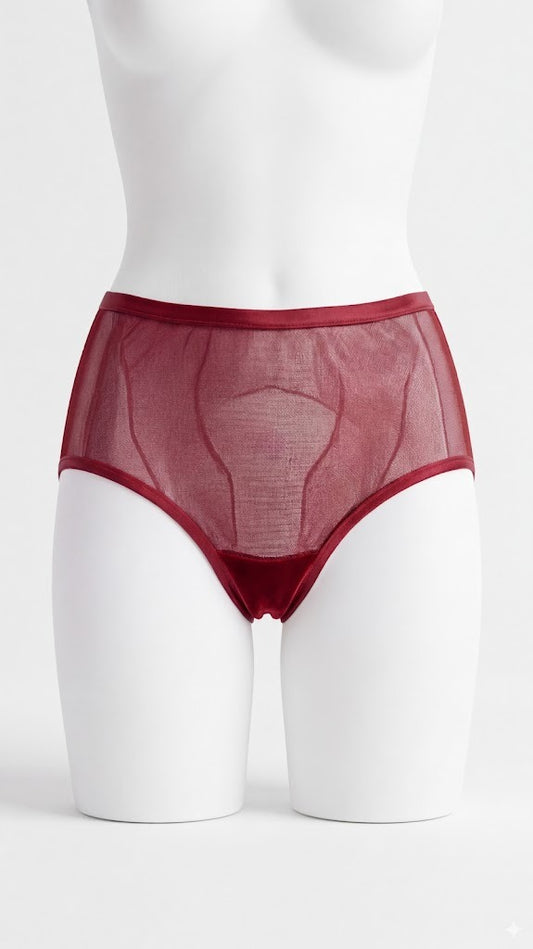 Transparent Net Panty