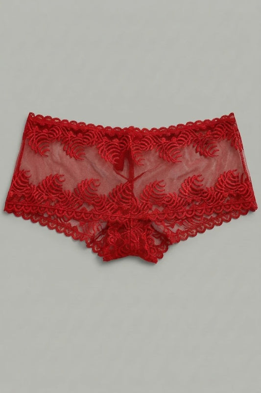 Women’s See Through Lace Panty,