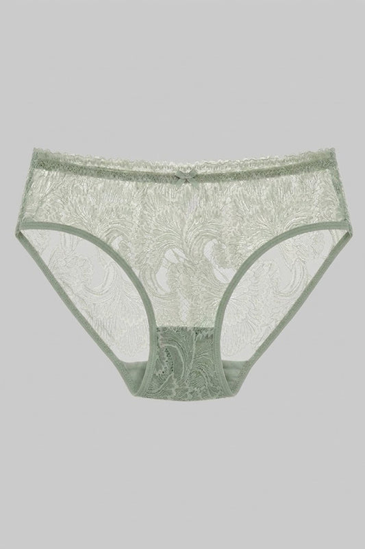 See Through Lace Panty