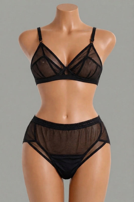Transparent Net Bra Set